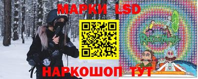 стафф Будённовск