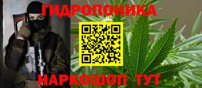 стафф Будённовск