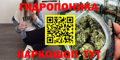стафф Будённовск