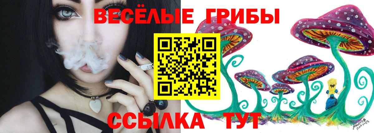 Салават  Псилоцибиновые грибы Magic Shrooms  продажа наркотиков  Вход с VPN 